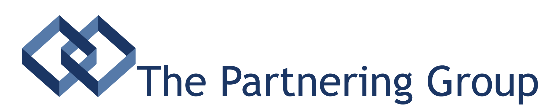The Partnering Group